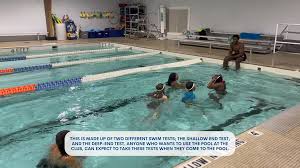 Image result for Taunton Deane Swimming Club