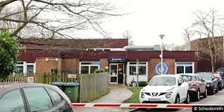 Image result for Thames Ditton Schools Fc