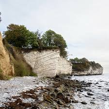 Image result for stevns klint