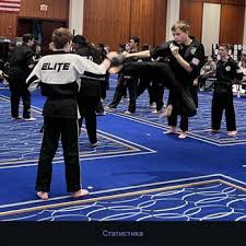 Image result for Elite Martial Arts Academy