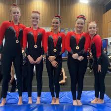 Image result for Bulmershe Gymnastics Club