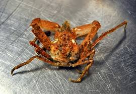 Image result for Hyas coarctatus