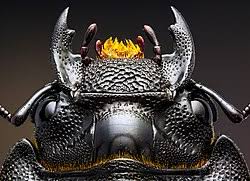 Attēlu rezultāti vaicājumam “Dorcus parallelopipedus”