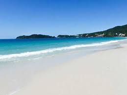 Image result for bombinhas