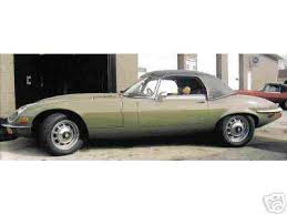 Image result for Fern Gray 1976 Jaguar