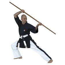 Image result for Yoseikan Budo England
