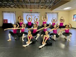 Image result for Academy Of Dance
