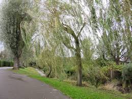 Image result for Market Harborough Sc