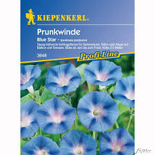 Image result for Prunkwinde
