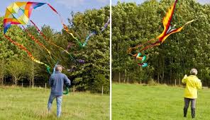 Image result for Midlands Kite Fliers