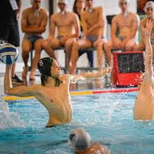 Image result for Basingstoke Bluefins Water Polo Club