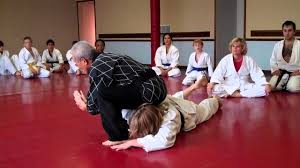 Image result for Chang's Hapkido Club