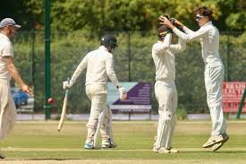 Image result for Horsham Trinity Cricket Club