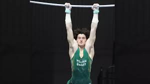 Image result for Hemsworth Odyssey Gymnastics Squad