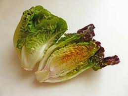 Image result for Römischer Salat
