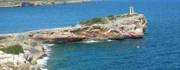 Image result for Ukc Falcons