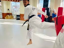 Image result for United Dojos Kickboxing