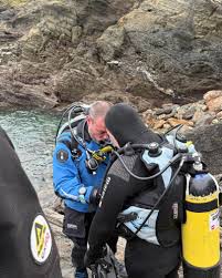 Image result for Looe Diving Club