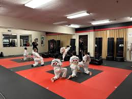 Image result for Abbey Fit Tae Kwon Do
