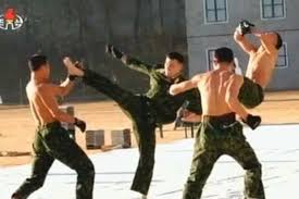 Image result for Sulkido