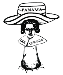 Attēlu rezultāti vaicājumam “Diderma subincarnatum young”