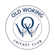 Image result for Wokingx1 Cricket Club