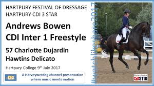 Image result for Interfreestyle Sport Karate