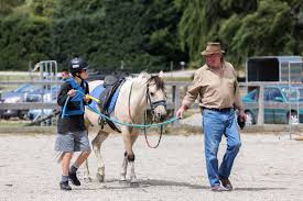 Image result for Riding For The Disabled Association