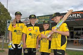 Image result for Sawbridgeworth Cricket Club