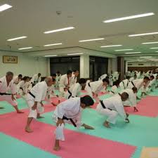 Image result for Holboln Shorinji Kempo Club