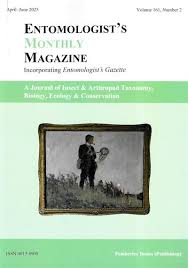 Attēlu rezultāti vaicājumam “Diphyus latebricola”