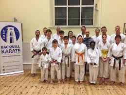 Image result for Backwell Karate