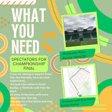 Image result for Green Isle Camogie Club - Players Wanted!