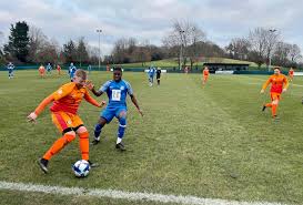 Image result for Frimley Green Football Club
