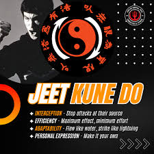 Image result for Somerset Jeet Kune Do