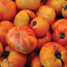 Afbeeldingsresultaat voor northern lights tomato