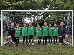 Image result for Welwyn Garden City Panshanger Football Club