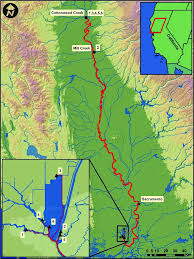 Image result for Ptychocheilus grandis