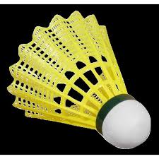 Image result for Shuttles Badminton Club (Frome)