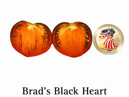 Afbeeldingsresultaat voor black oxheart tomato