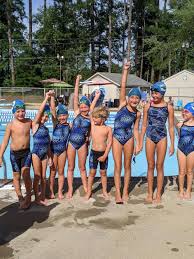 Image result for Perry Beeches Sutton Swim Squad