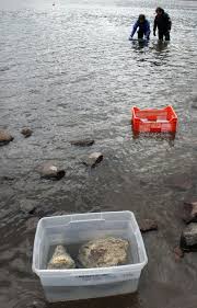 Image result for Aztec Divers