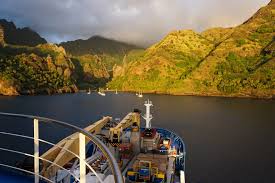 Attēlu rezultāti vaicājumam “Aranei exuvia”