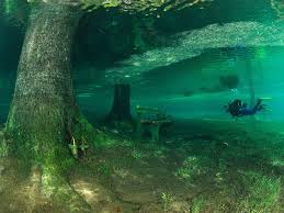 Image result for TAL Divers