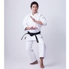 Image result for Sandokai Karate