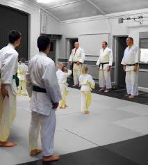 Image result for Southend Judo Club