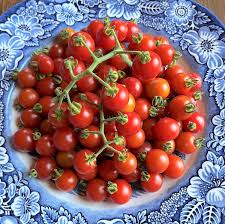Afbeeldingsresultaat voor hawaiian white cherry tomato