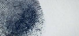 How to beat a fingerprint background check - Quora