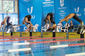 Image result for Swansea Finswimming Club