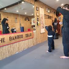 Image result for Bushido Academy Of Martial Arts (Bama)